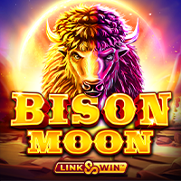 microgaming Slot