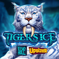 microgaming Slot