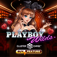 microgaming Slot