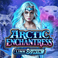 microgaming Slot