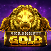 microgaming Slot